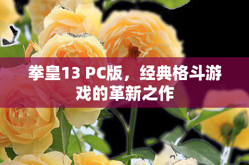 拳皇13 PC版，经典格斗游戏的革新之作