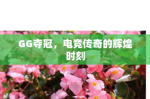 GG夺冠，电竞传奇的辉煌时刻
