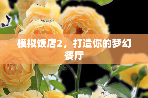 模拟饭店2，打造你的梦幻餐厅