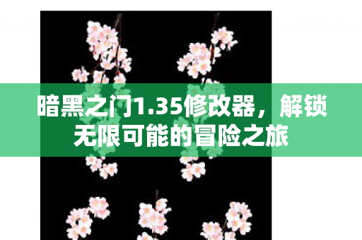 暗黑之门1.35修改器，解锁无限可能的冒险之旅