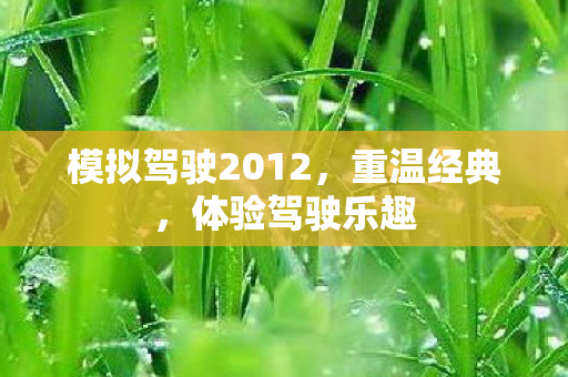 模拟驾驶2012，重温经典，体验驾驶乐趣