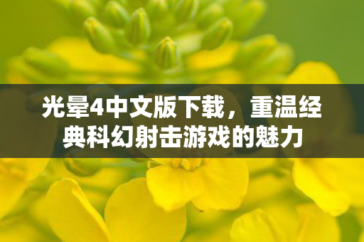 光晕4中文版下载，重温经典科幻射击游戏的魅力