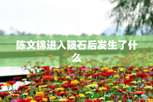 陈文锦进入陨石后发生了什么