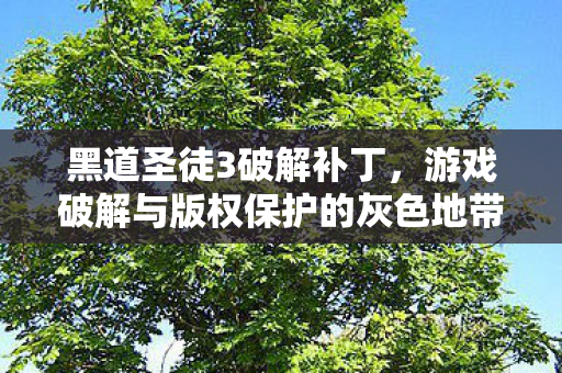 黑道圣徒3破解补丁，游戏破解与版权保护的灰色地带