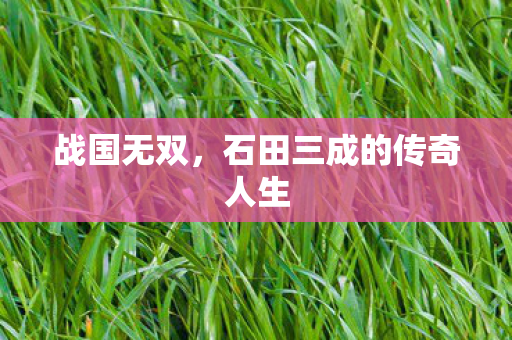 战国无双，石田三成的传奇人生