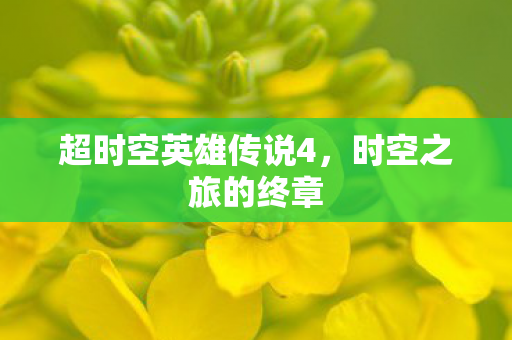 超时空英雄传说4，时空之旅的终章