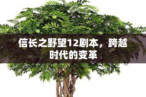 信长之野望12剧本，跨越时代的变革