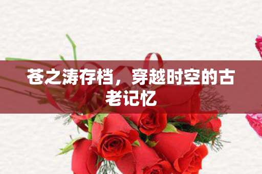 苍之涛存档，穿越时空的古老记忆