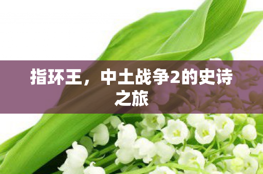 指环王，中土战争2的史诗之旅