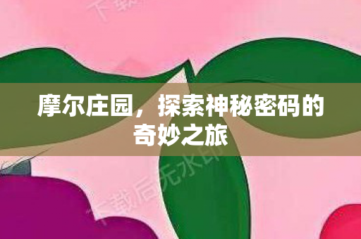 摩尔庄园，探索神秘密码的奇妙之旅