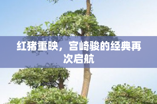 红猪重映，宫崎骏的经典再次启航