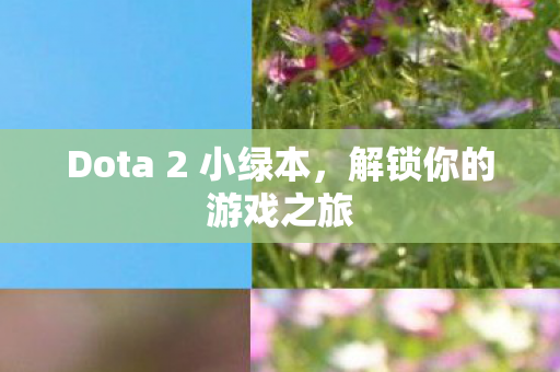 Dota 2 小绿本，解锁你的游戏之旅