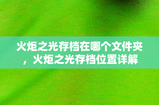 火炬之光存档在哪个文件夹图片