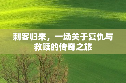 刺客归来，一场关于复仇与救赎的传奇之旅