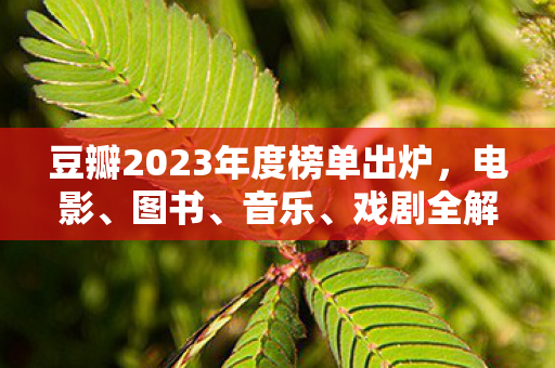 豆瓣2023年度榜单出炉，电影、图书、音乐、戏剧全解析