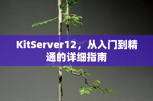 KitServer12，从入门到精通的详细指南