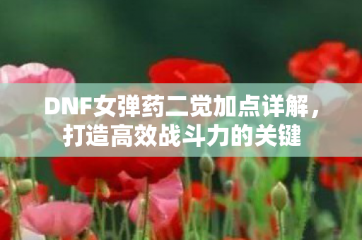 DNF女弹药二觉加点详解，打造高效战斗力的关键