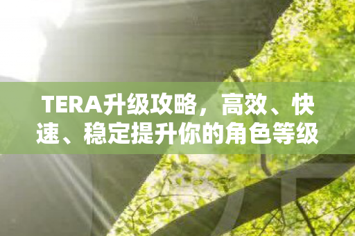 TERA升级攻略，高效、快速、稳定提升你的角色等级