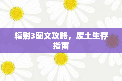 辐射3图文攻略，废土生存指南