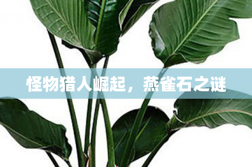 怪物猎人崛起，燕雀石之谜
