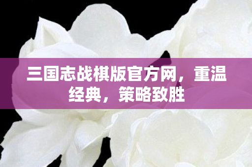 三国志战棋版官方网，重温经典，策略致胜