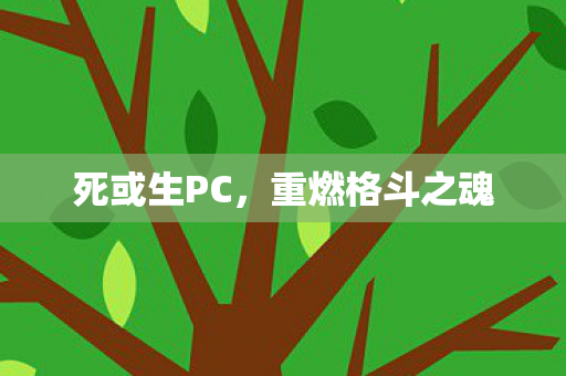 死或生PC，重燃格斗之魂