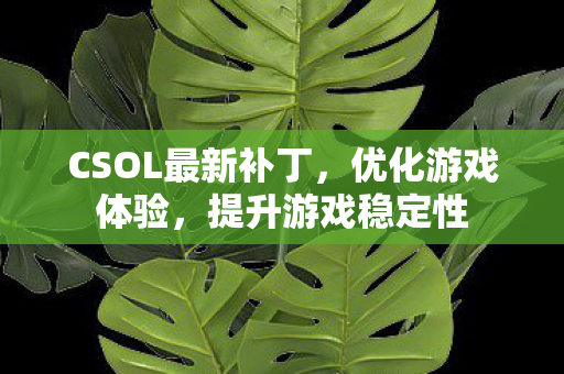 CSOL最新补丁，优化游戏体验，提升游戏稳定性