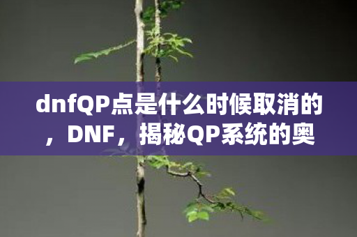 dnfQP点是什么时候取消的图片