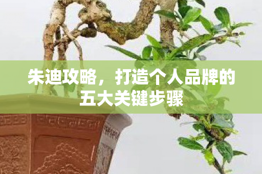 朱迪攻略，打造个人品牌的五大关键步骤