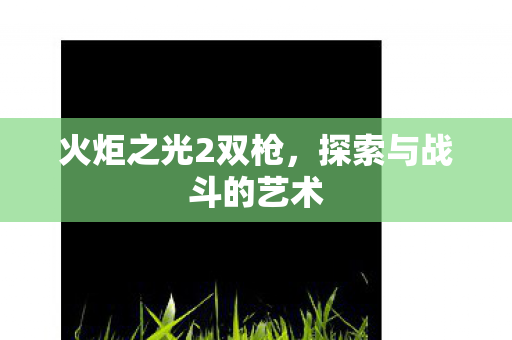 火炬之光2双枪，探索与战斗的艺术