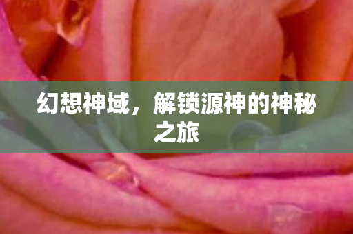 幻想神域，解锁源神的神秘之旅