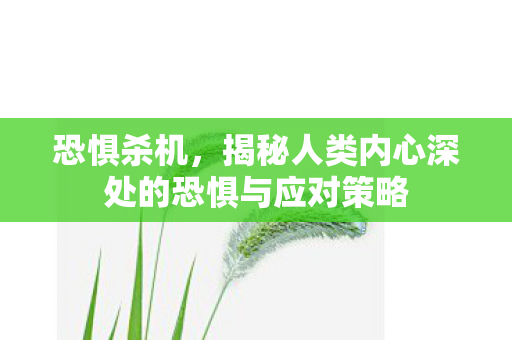 恐惧杀机，揭秘人类内心深处的恐惧与应对策略