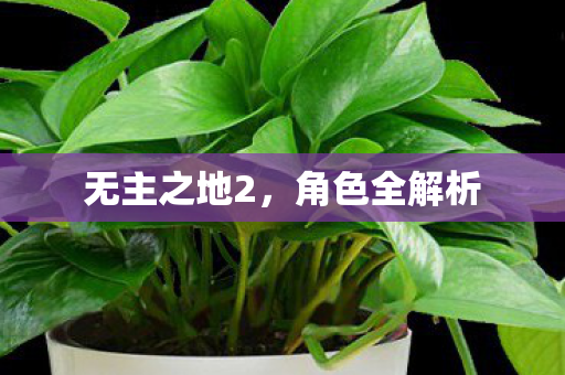无主之地2，角色全解析