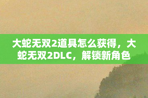 大蛇无双2道具怎么获得图片