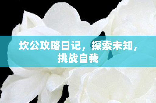 坎公攻略日记，探索未知，挑战自我