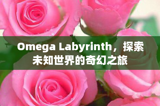 Omega Labyrinth,探索未知世界的奇幻之旅 Omega Labyrinth,探索未知世界的奇幻之旅