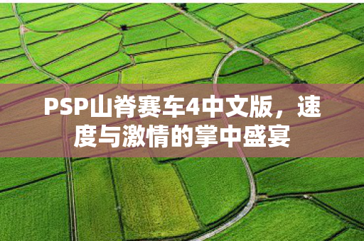 PSP山脊赛车4中文版，速度与激情的掌中盛宴