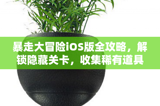 暴走大冒险iOS版全攻略,解锁隐藏关卡,收集稀有道具,成为冒险王者! 暴走大冒险iOS版全攻略,解锁隐藏关卡,收集稀有道具,成为冒险王者!
