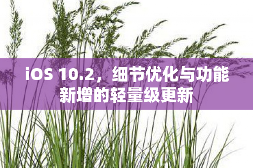 iOS 10.2，细节优化与功能新增的轻量级更新