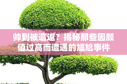 帅到被遣返？揭秘那些因颜值过高而遭遇的尴尬事件