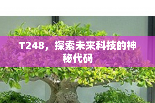 T248，探索未来科技的神秘代码