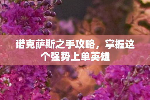 诺克萨斯之手攻略,掌握这个强势上单英雄 诺克萨斯之手攻略,掌握这个强势上单英雄