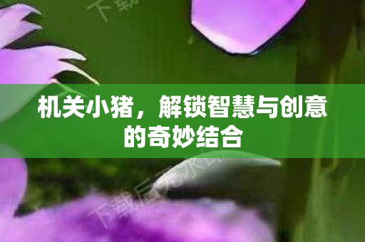 机关小猪,解锁智慧与创意的奇妙结合 机关小猪,解锁智慧与创意的奇妙结合