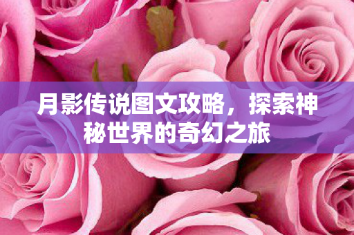 月影传说图文攻略，探索神秘世界的奇幻之旅