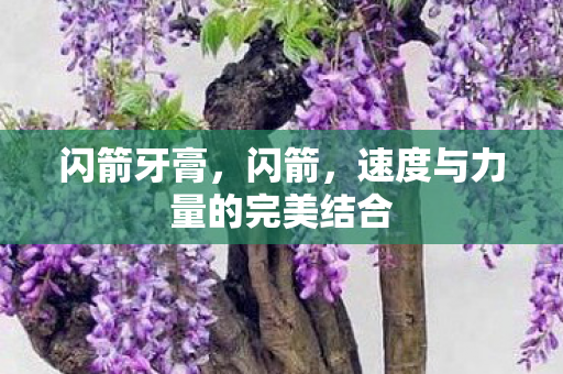 闪箭牙膏，闪箭，速度与力量的完美结合
