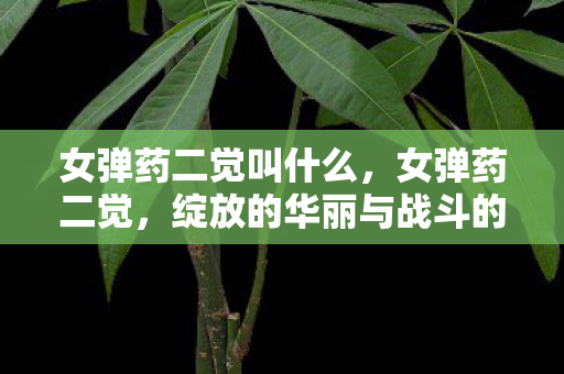 女弹药二觉叫什么，女弹药二觉，绽放的华丽与战斗的艺术