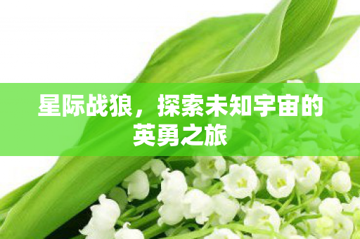 星际战狼，探索未知宇宙的英勇之旅