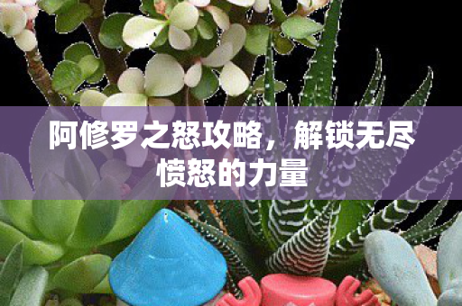 阿修罗之怒攻略，解锁无尽愤怒的力量