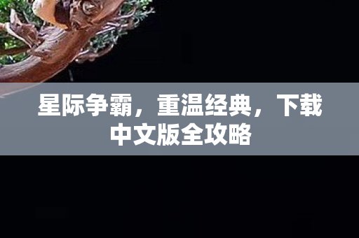 星际争霸，重温经典，下载中文版全攻略