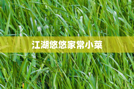 江湖悠悠家常小菜 江湖悠悠家常小菜